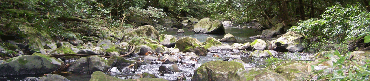 Córrego Salobrinha, Serra da Bodoquena