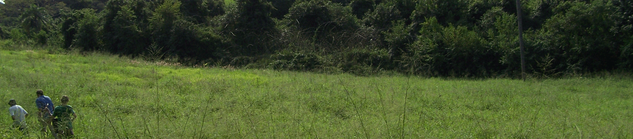 Córrego do Bugio, SP